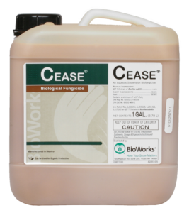 CEASE