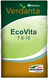 EcoVita