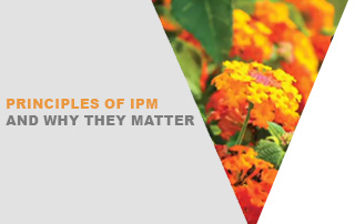 Princples of IPM and Why They Matter