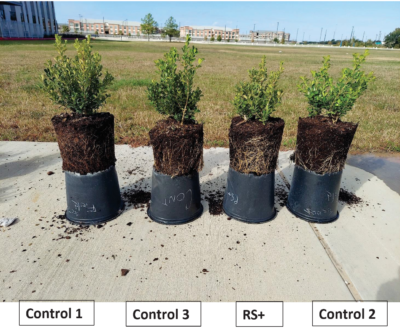 Figure 4. Comparison of all 4 samples