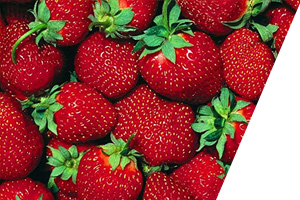 Strawberries Close up