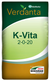 K-Vita