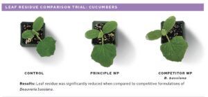 Principle Leaf Residue Trial